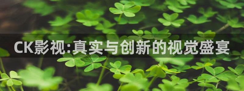 星空电影院高清在线观看：CK影视:真实与创新的视觉盛宴