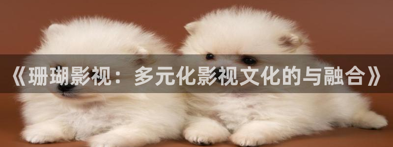 免费在线观看热播星空影院：《珊瑚影视：多元化影视文化的与融合》