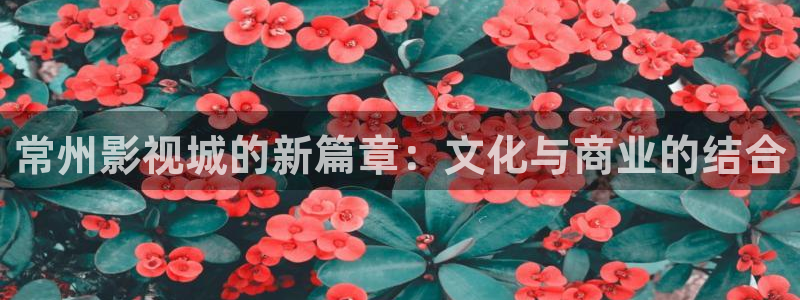 龙门星空国际影城：常州影视城的新篇章：文化与商业的结合
