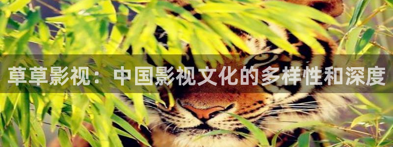 星空视频：草草影视：中国影视文化的多样性和深度