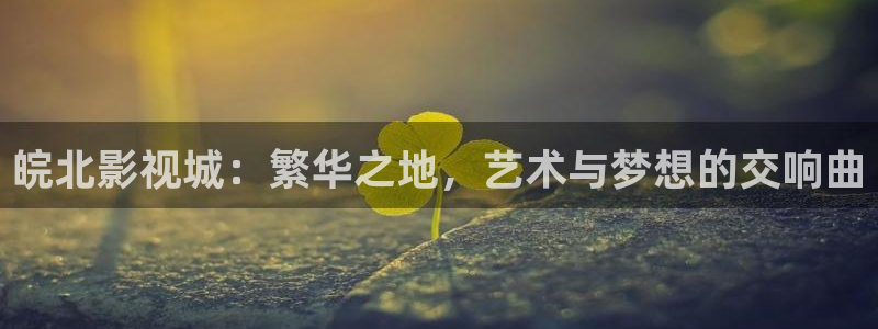 星空国际影院：皖北影视城：繁华之地，艺术与梦想的交响曲