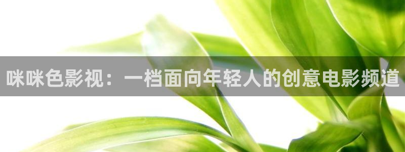 天美麻花星空视频：咪咪色影视：一档面向年轻人的创意电影频道