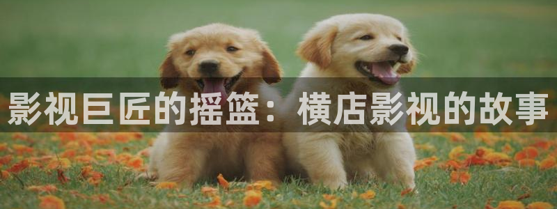 电影网 星空：影视巨匠的摇篮：横店影视的故事