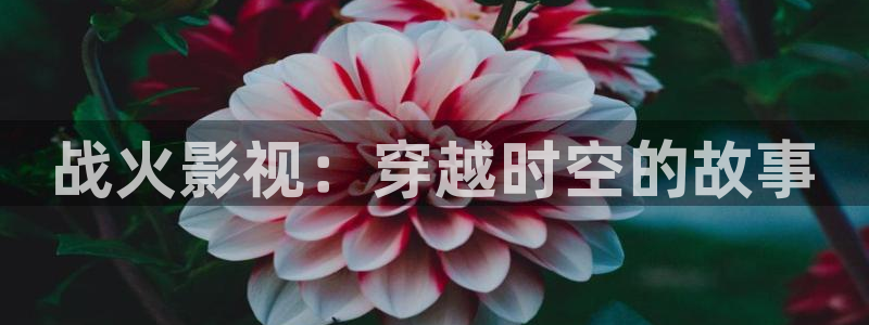 私人影院星空顶：战火影视：穿越时空的故事