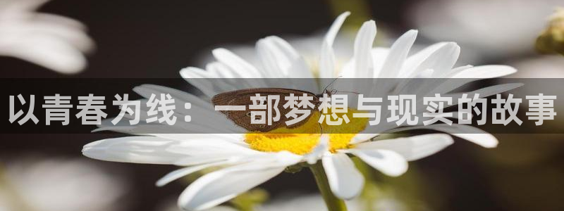 与敌共眠电视剧免费星空影院：以青春为线：一部梦想与现实的故事