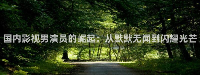 星空影视电影：国内影视男演员的崛起：从默默无闻到闪耀光芒